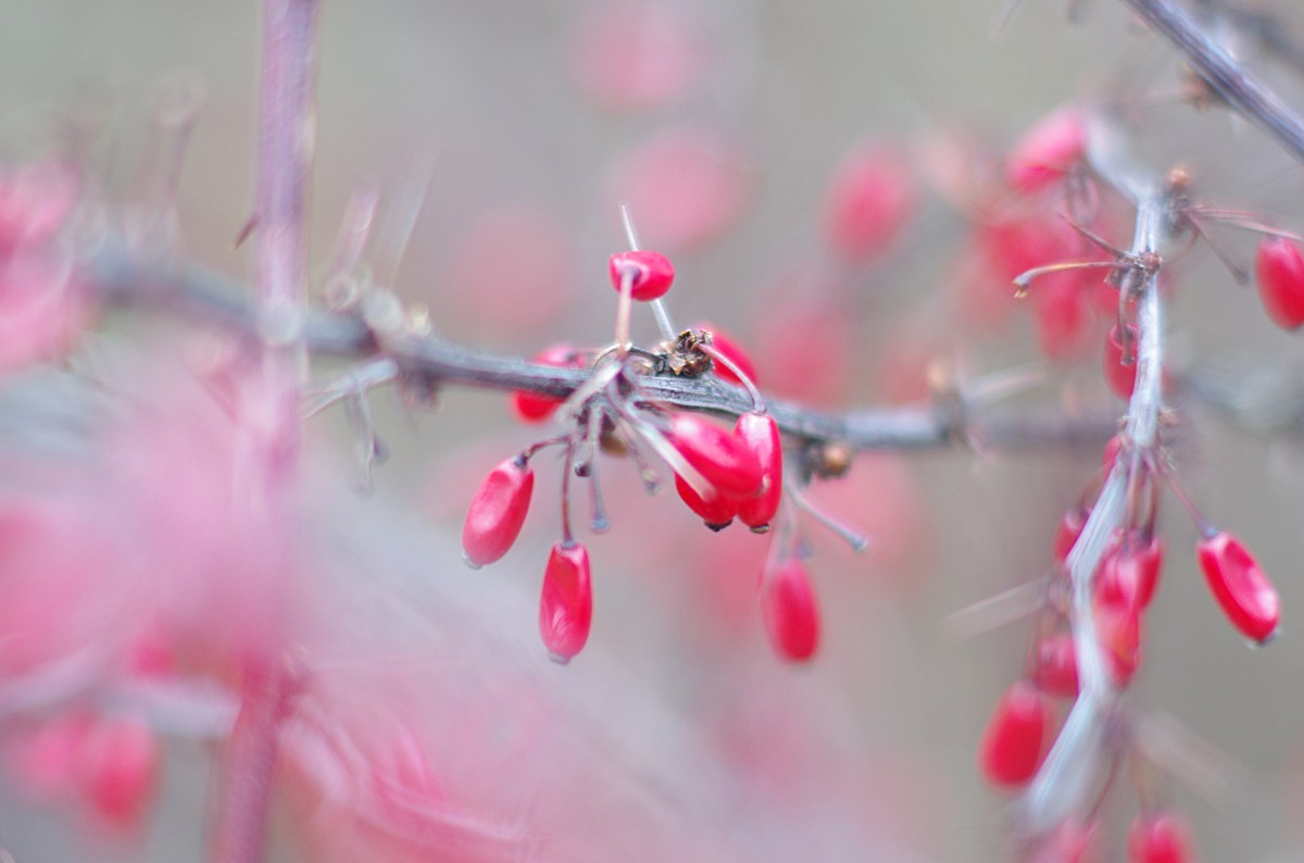 Forgiveness As A&nbsp;Choice