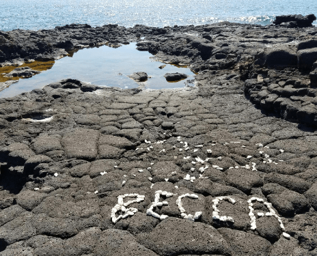 16468652_10208755516592614_1913792068_n