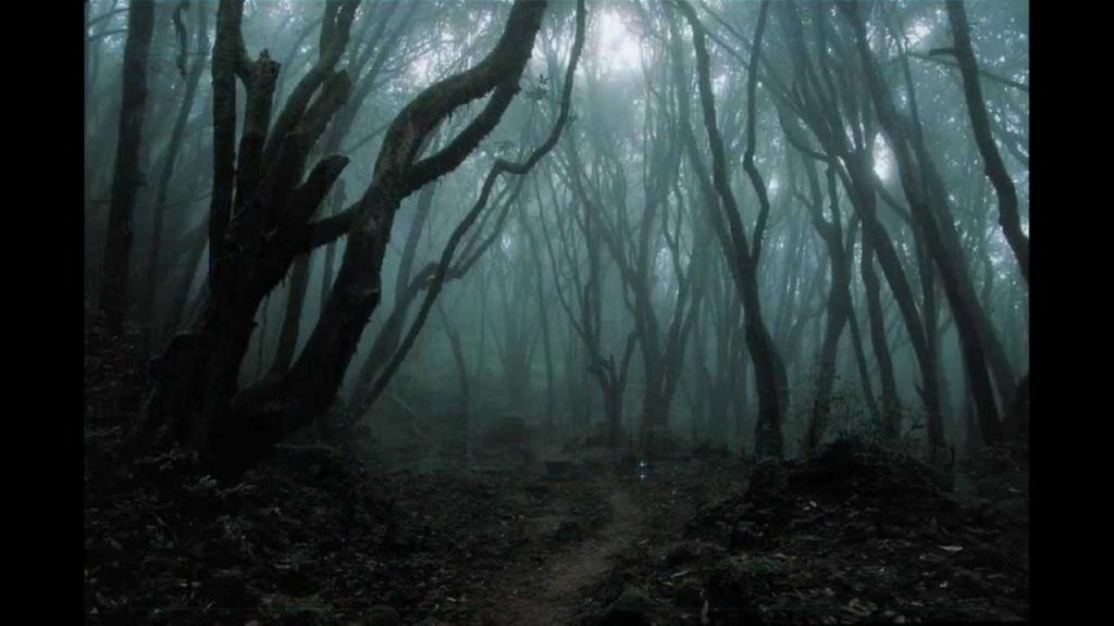 The Path