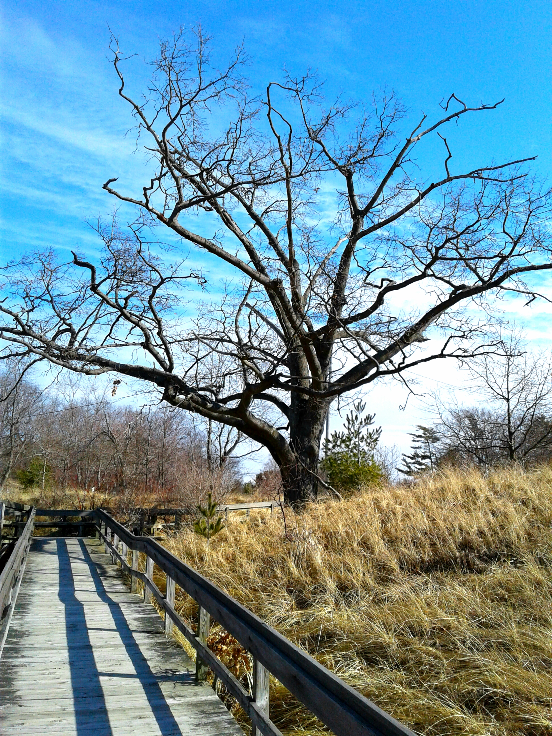 20180304_162042.jpg