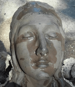 36312816_10212523809317577_6885788888611160064_n