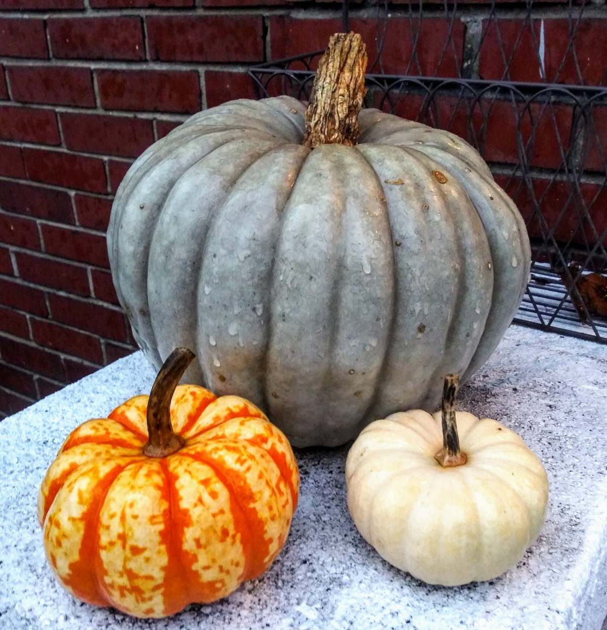 So It Begins (Too&nbsp;Early)